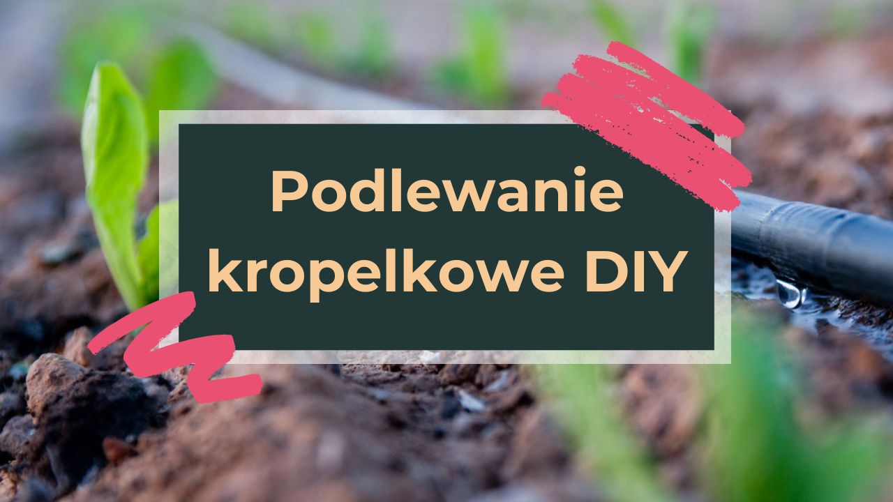 Podlewanie kropelkowe DIY